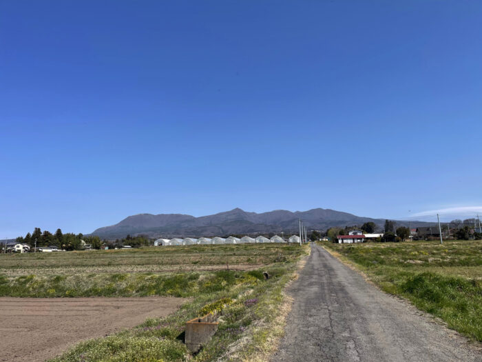 4月2日(火) AM 9:20 前橋市苗ケ島町