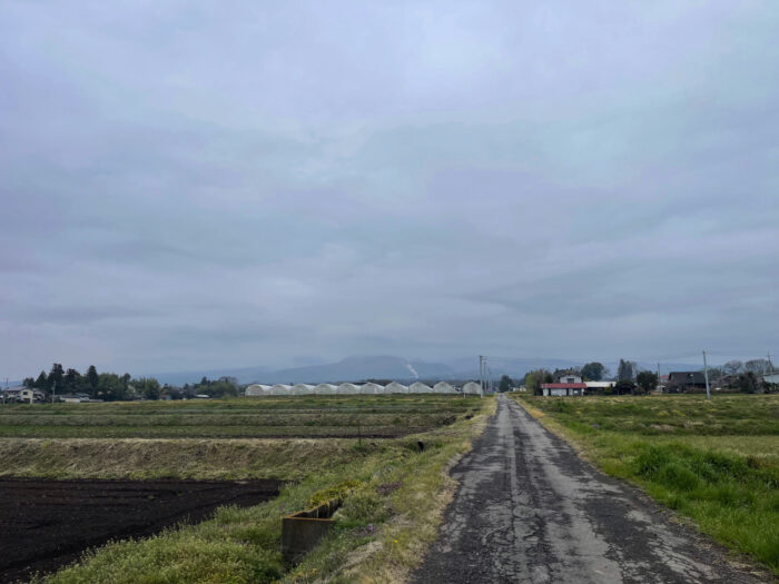 4月6日(土)　AM 9:31　前橋市苗ケ島町