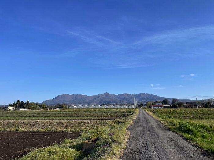 4月7日(日)　AM 7:03　前橋市苗ケ島町