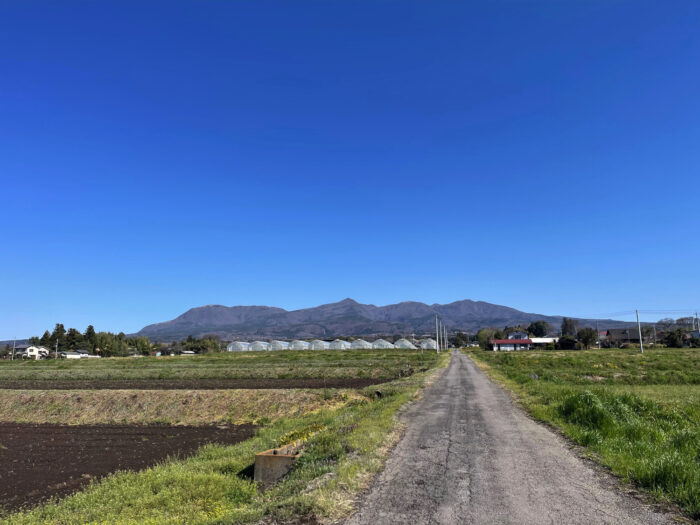 4月10日(水)　AM 8:36　前橋市苗ケ島町