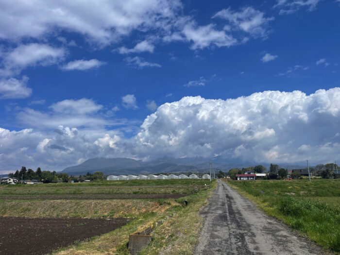 4月17日(水)　AM 10:07　前橋市苗ケ島町