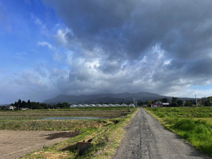 4月19日(金) AM 7:08 前橋市苗ケ島町