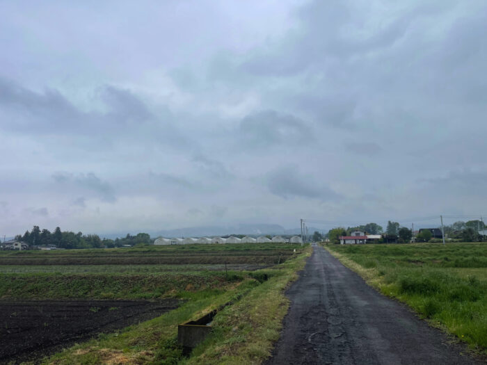 4月23日(火)　AM 10:01　前橋市苗ケ島町