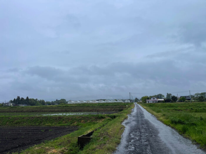 4月24日(水)　AM 9:42　前橋市苗ケ島町