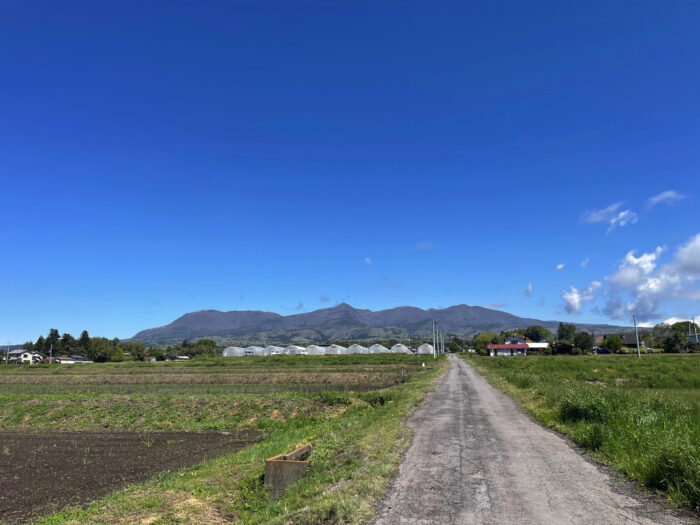 4月25日(木)　AM 9:57　前橋市苗ケ島町