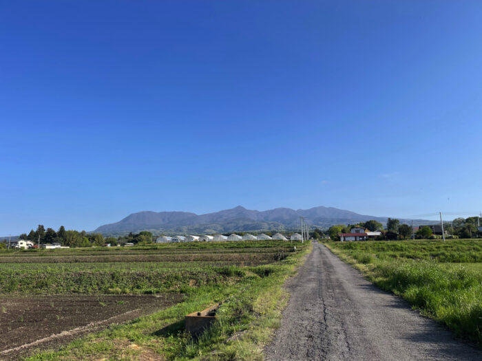 4月26日(金)　AM 7:09　前橋市苗ケ島町