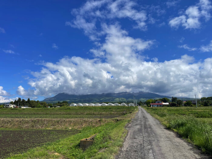 5月2日(木)　AM 8:53　前橋市苗ケ島町