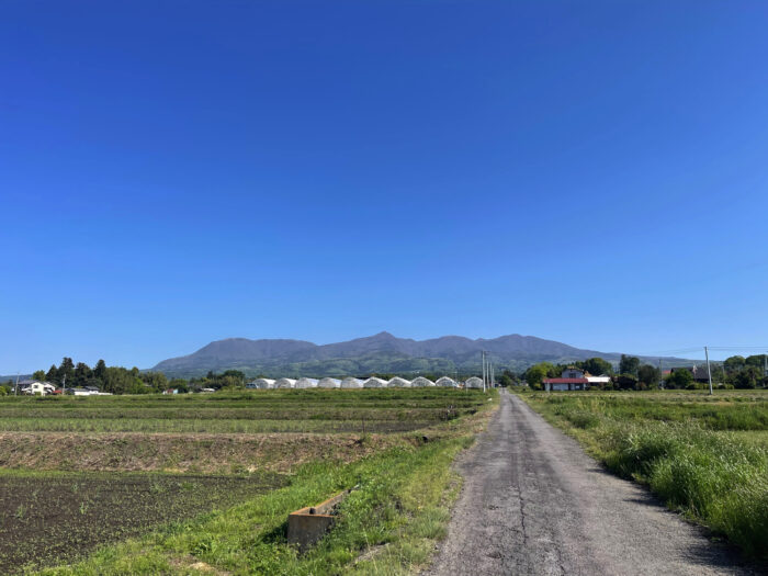 5月3日(金)　AM 8:17　前橋市苗ケ島町