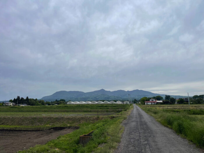 5月6日(月)　AM 9:53　前橋市苗ケ島町