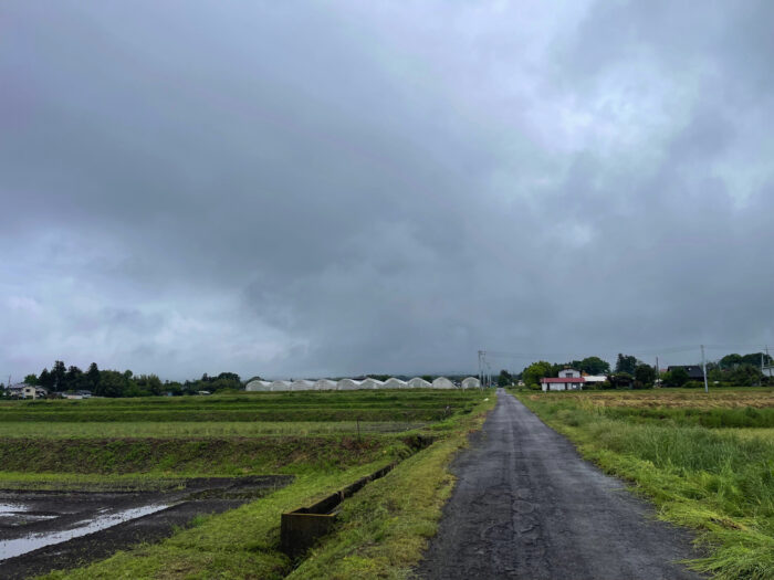 5月9日(木)　AM 9:08　前橋市苗ケ島町