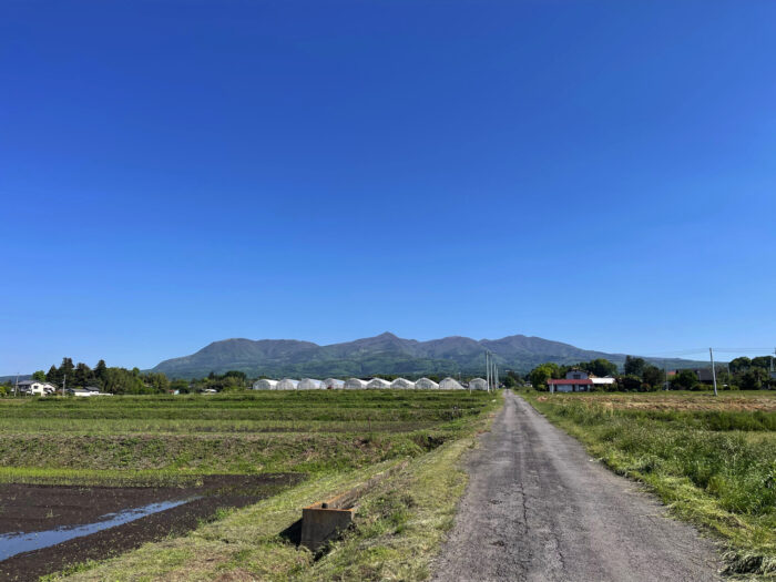 5月10日(金)　AM 8:18　前橋市苗ケ島町