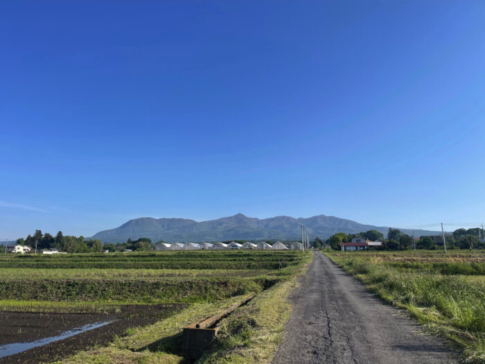 5月11日(土)　AM 6:48　前橋市苗ケ島町