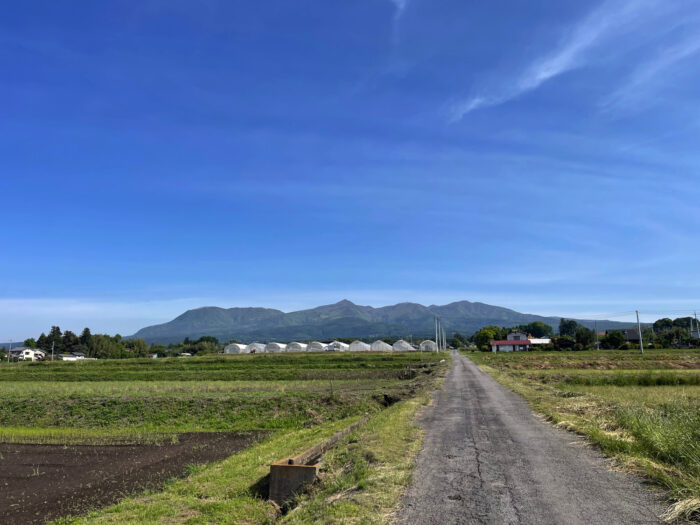 5月15日(水)　AM 8:12　前橋市苗ケ島町