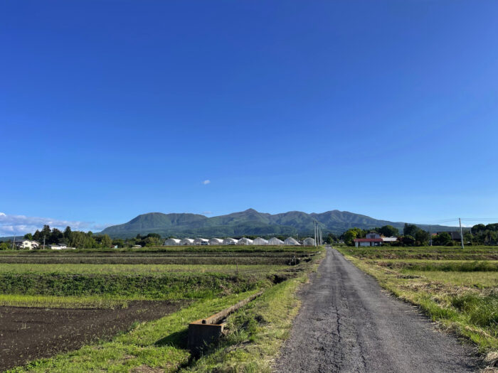 5月17日(金)　AM 7:01　前橋市苗ケ島町