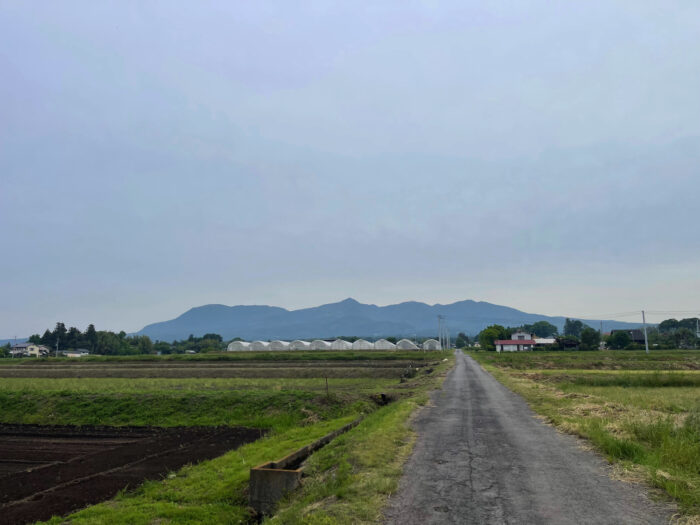 5月19日(日)　AM 6:49　前橋市苗ケ島町