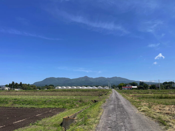 5月21日(火)　AM 9:30　前橋市苗ケ島町