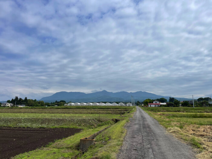 5月22日(水)　AM 8:42　前橋市苗ケ島町