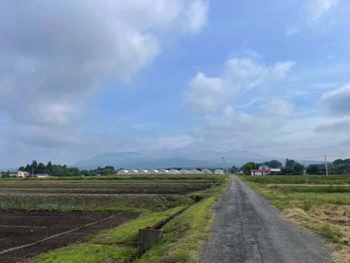 5月23日(木)　AM 7:01　前橋市苗ケ島町