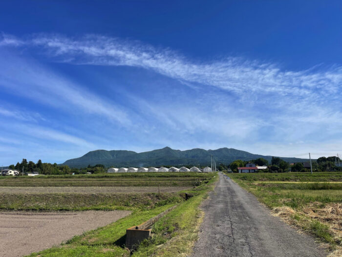 5月25日(土)　AM 8:14　前橋市苗ケ島町