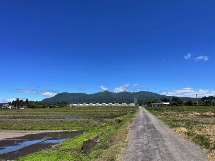 5月29日(水)　AM 10:18　前橋市苗ケ島町