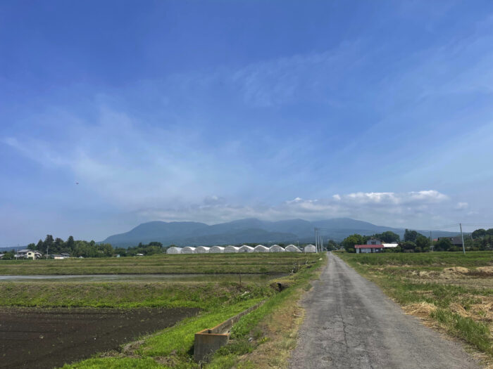 5月30日(木)　AM 9:39　前橋市苗ケ島町