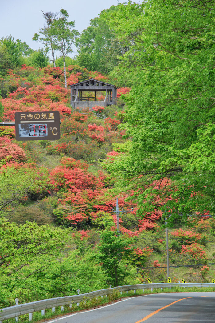赤城見晴山　5/30撮影