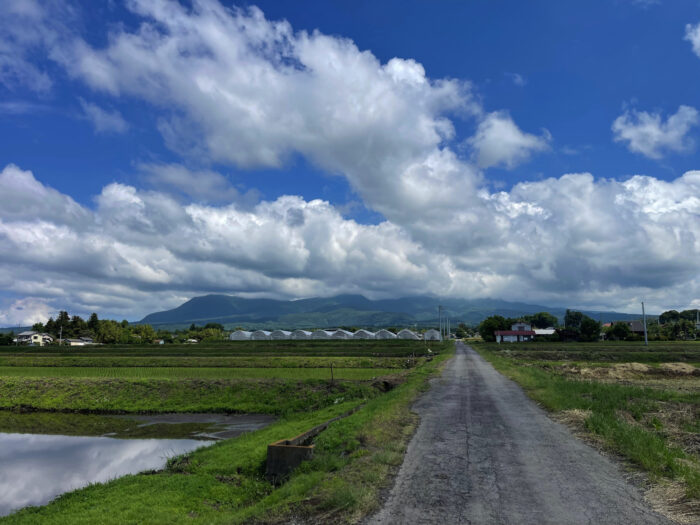 6月3日(月)　AM 9:31　前橋市苗ケ島町