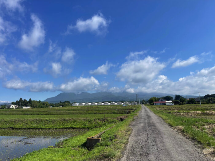 6月5日(水)　AM 8:24　前橋市苗ケ島町