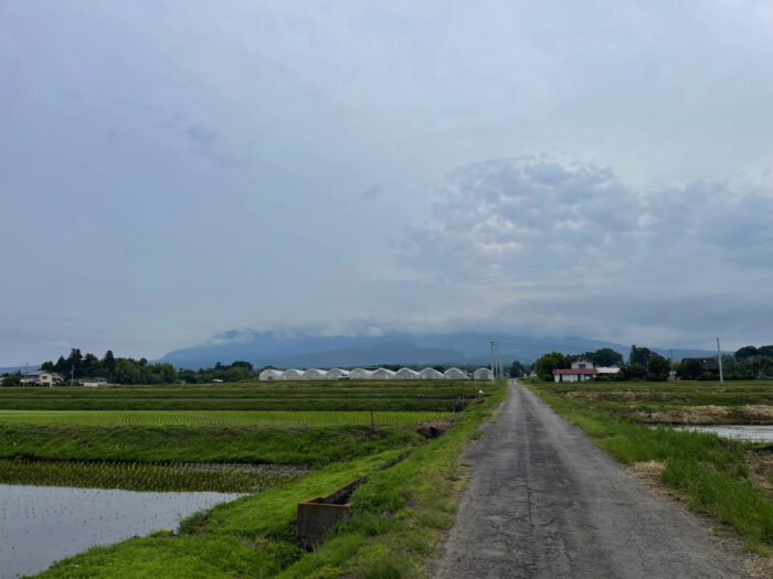 6月7日(金)　AM 7:01　前橋市苗ケ島町