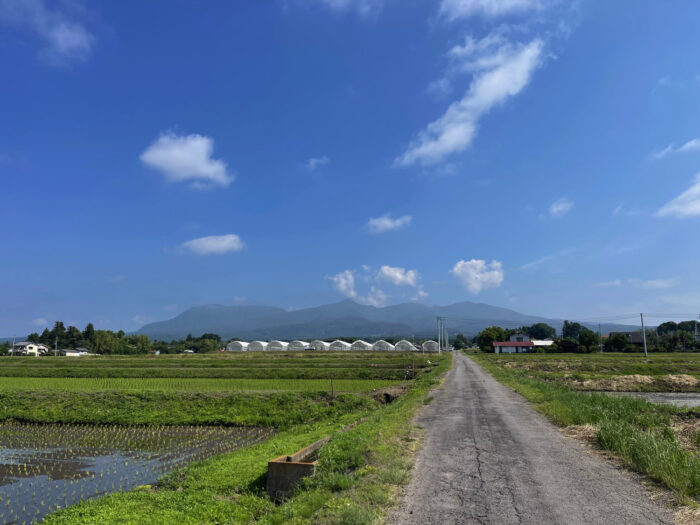 6月8日(土)　AM 8:34　前橋市苗ケ島町