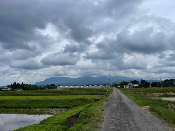 6月9日(日)　AM 10:14　前橋市苗ケ島町
