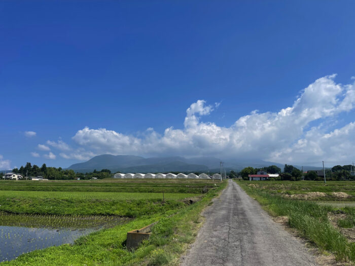 6月11日(火)　AM 9:26　前橋市苗ケ島町