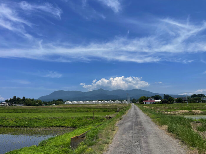 6月12日(水)　AM 10:50　前橋市苗ケ島町