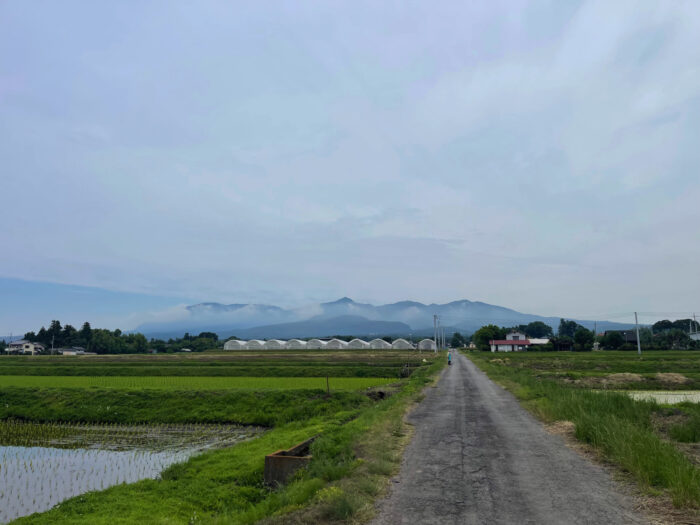 6月13日(木)　AM 9:06　前橋市苗ケ島町