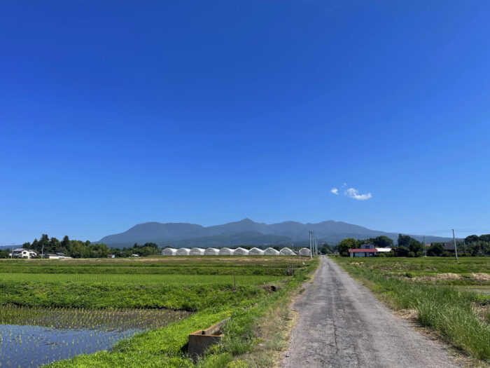6月14日(金)　AM 9:03　前橋市苗ケ島町