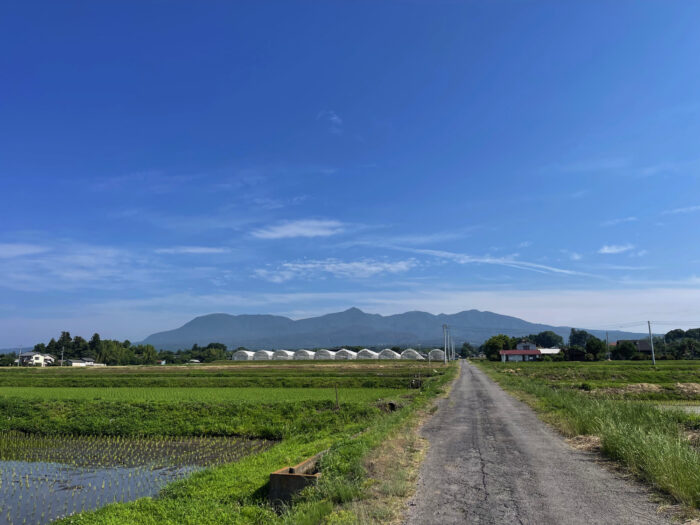 6月15日(土)　AM 8:20　前橋市苗ケ島町