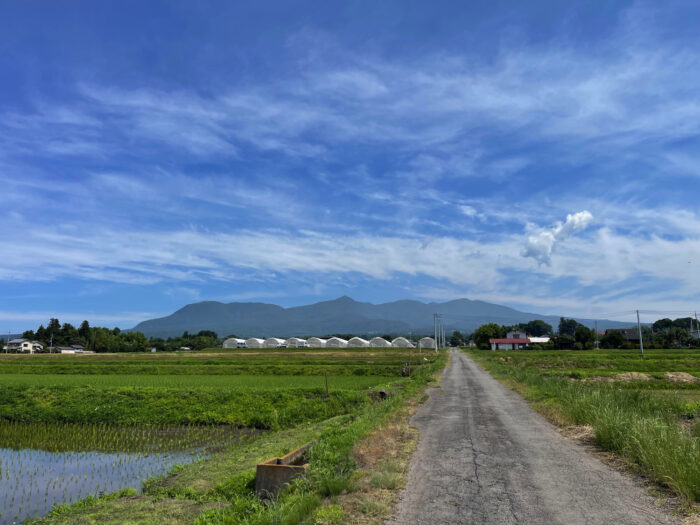 6月17日(月)　AM 9:21　前橋市苗ケ島町