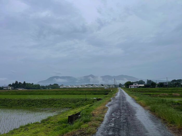 6月18日(火)　AM 7:04　前橋市苗ケ島町