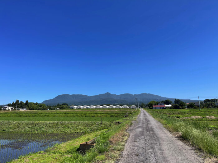 6月19日(水)　AM 9:09　前橋市苗ケ島町