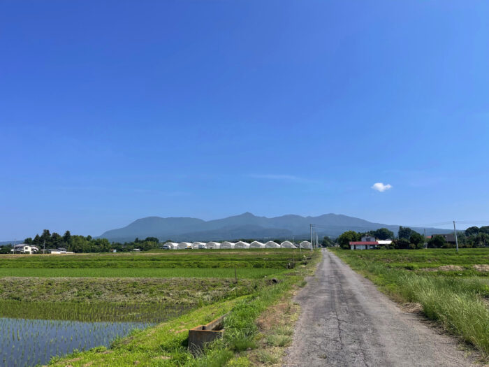 6月20日(木)　AM 9:02　前橋市苗ケ島町