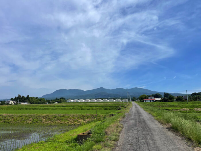 6月22日(土)　AM 8:22　前橋市苗ケ島町