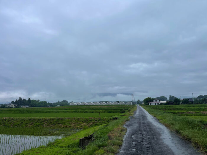 6月23日(日)　AM 7:49　前橋市苗ケ島町