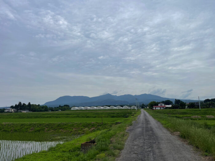 6月25日(火)　AM 10:04　前橋市苗ケ島町