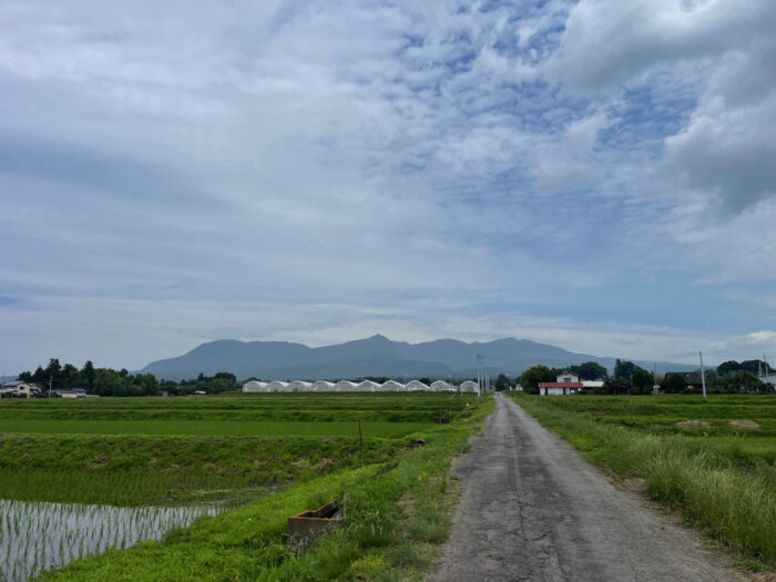6月26日(水)　AM 9:55　前橋市苗ケ島町
