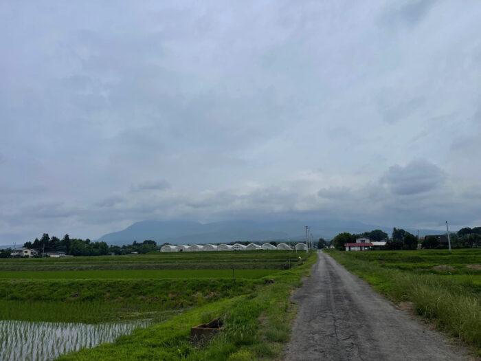 6月27日(木)　AM 9:02　前橋市苗ケ島町
