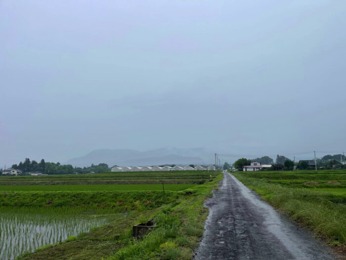 6月28日(金)　AM 8:51　前橋市苗ケ島町