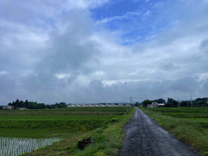 6月29日(土)　AM 7:02　前橋市苗ケ島町