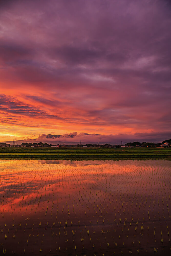 夕景と赤城山