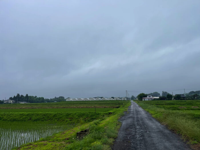7月1日(月) AM 8:45 前橋市苗ケ島町