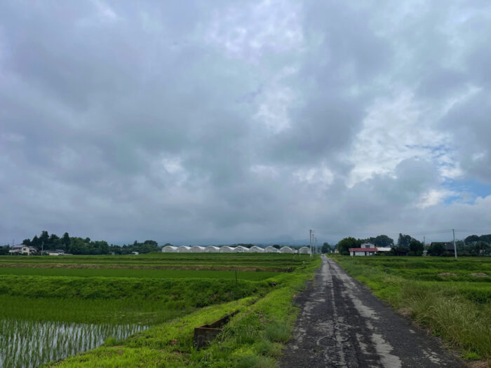7月3日(水) AM 9:41 前橋市苗ケ島町